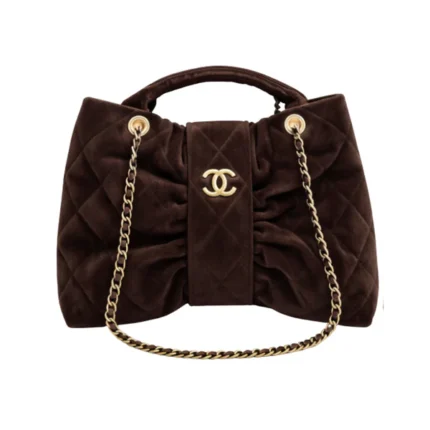Chanel Bag | Bow Bag Dark Brown